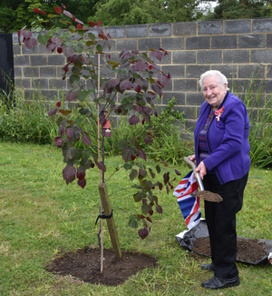 Audrey tree planting