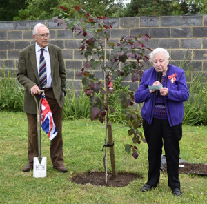 Tree planting
