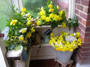 Daffodil table