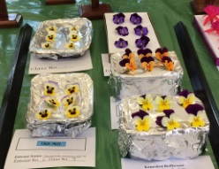 Violas
