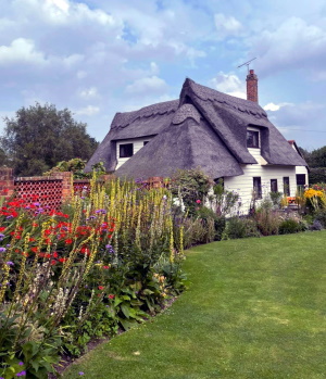 flowerborders