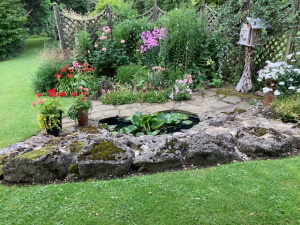pond