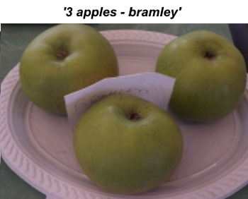 apples
