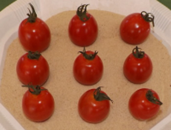 tomatoes