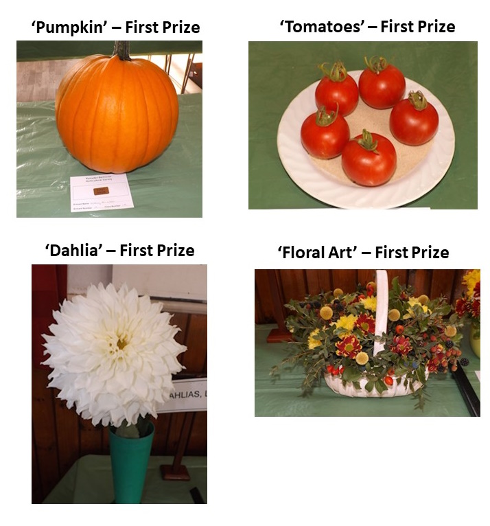 tomatoes