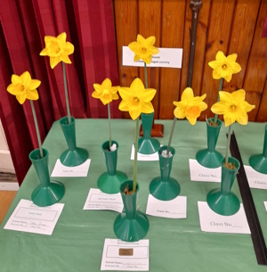 Mini Show 1st prize
