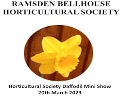 2023 Mini Show