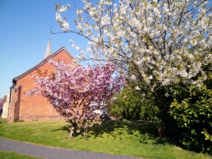 St Mary's