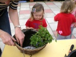 Hanging baskets