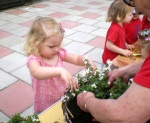 Hanging baskets