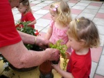 Hanging baskets