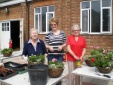 Hanging baskets