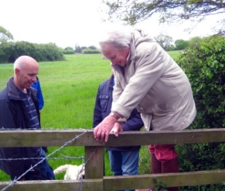 Stile climbing