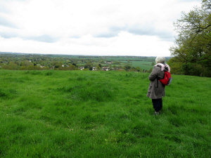 Ramsden view