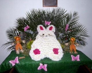 Rabbit