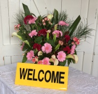 Welcome