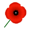 poppy