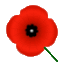 poppy